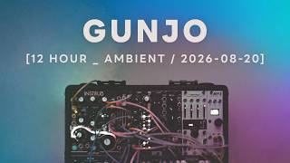 Gunjo / Ambient Session 137 : Modular Synth Ambient