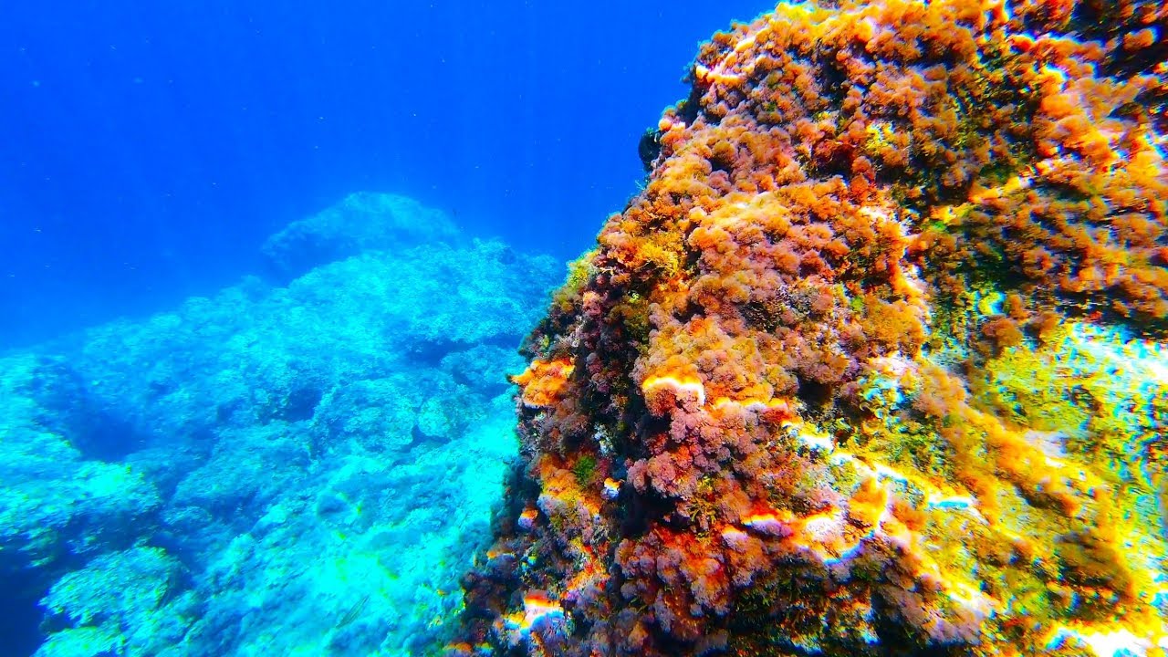 gopro hero 8 underwater settings