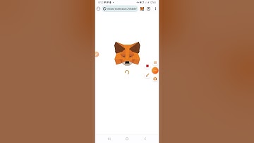 OpenEX Testnet Guide 2024 Satoshi Airdrop