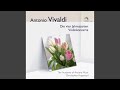 Miniature de la vidéo de la chanson Concerto In F Major, Op. 8 No. 3, Rv 293 "L'autunno": Ii. Adagio Molto