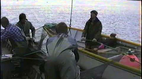 Capelin Time - The Dunne Family