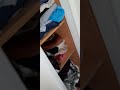 L OR Rangé En Coffre Fort Caché Dans Le Bati Support Idée Incroyable 