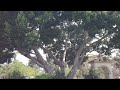 Using Karma to Your Advantage 2  - Mindfulness / Meditation / Buddhism