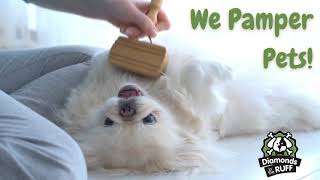 Diamonds in the Ruff Pet Resort and Salon in Abilene, TX | We Pamper Your Pets