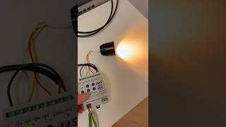 Benory TW LED Spot 10W