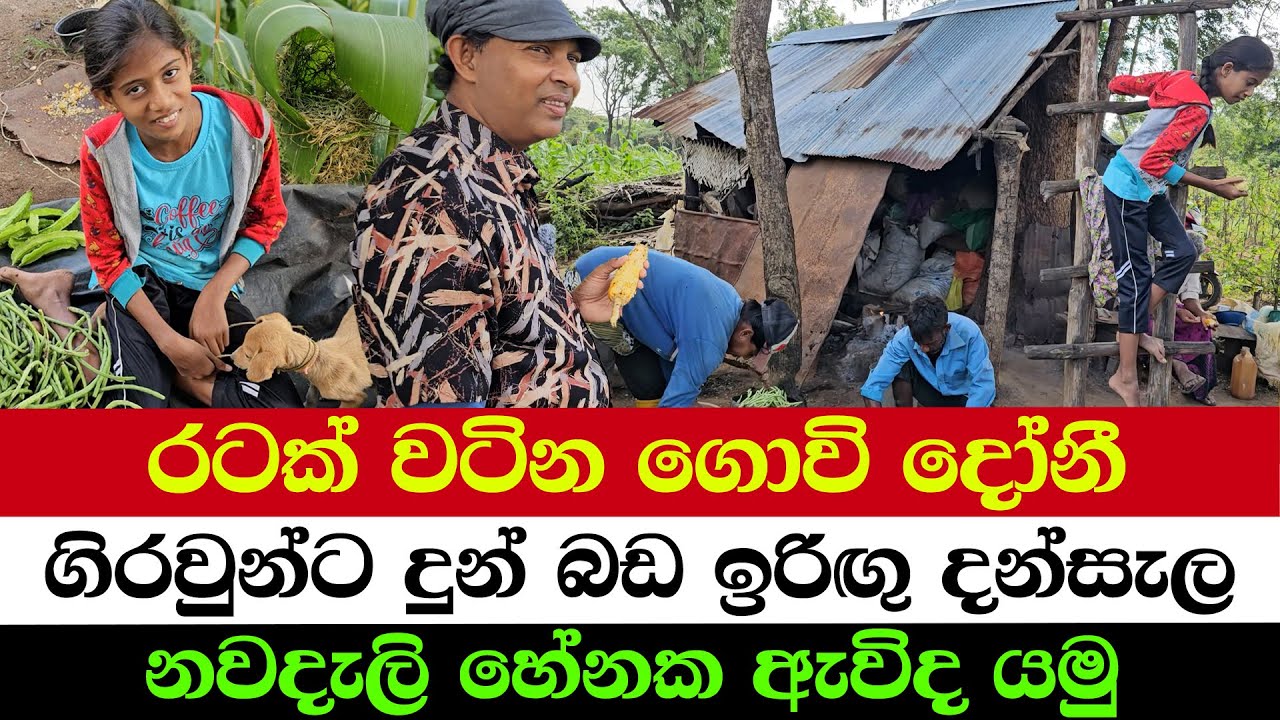 This Little Girl Earns from Farming | A Beautiful Farming Family in the Jungle
