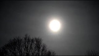 Eclipse - April 08, 2024 by Leweegie1960 66 views 3 weeks ago 5 minutes, 26 seconds