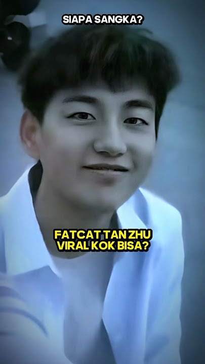 WADUHH?! KENAPA SEPOLOS FATCAT BISA CINTA MATE TANZHU? #awaanstory #fatcat