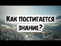 Как постигается знание || Абу Умар Ас-Сыям