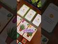 Verdant | Jogo de tabuleiro leve e estratégico para jogar em casal 🌿