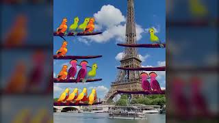 Bird Sort Puzzle 12 (16-9)