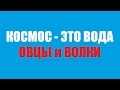 Космос - это вода. Овцы и волки.