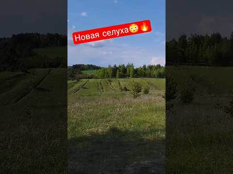 Нашел новую селуху🧐🔥#какнайтиселуху#какнайтиместодлякопа#коп#ивангрозный#поискместадлякопа#копатели
