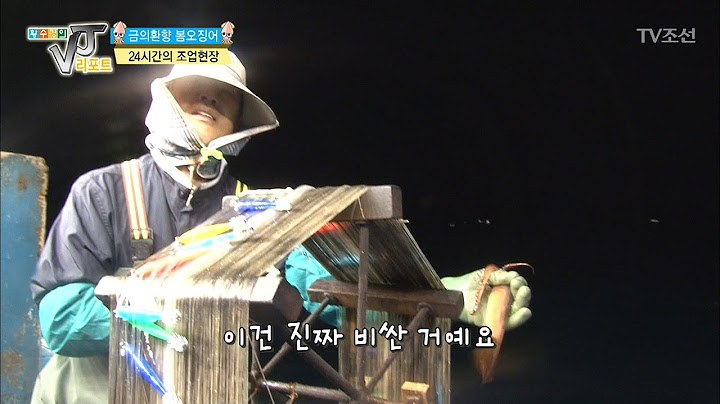 불빛따라 잡혀오는 오징어! [황수경의 VJ리포트] 7회 20170517