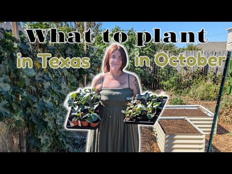 What to plant