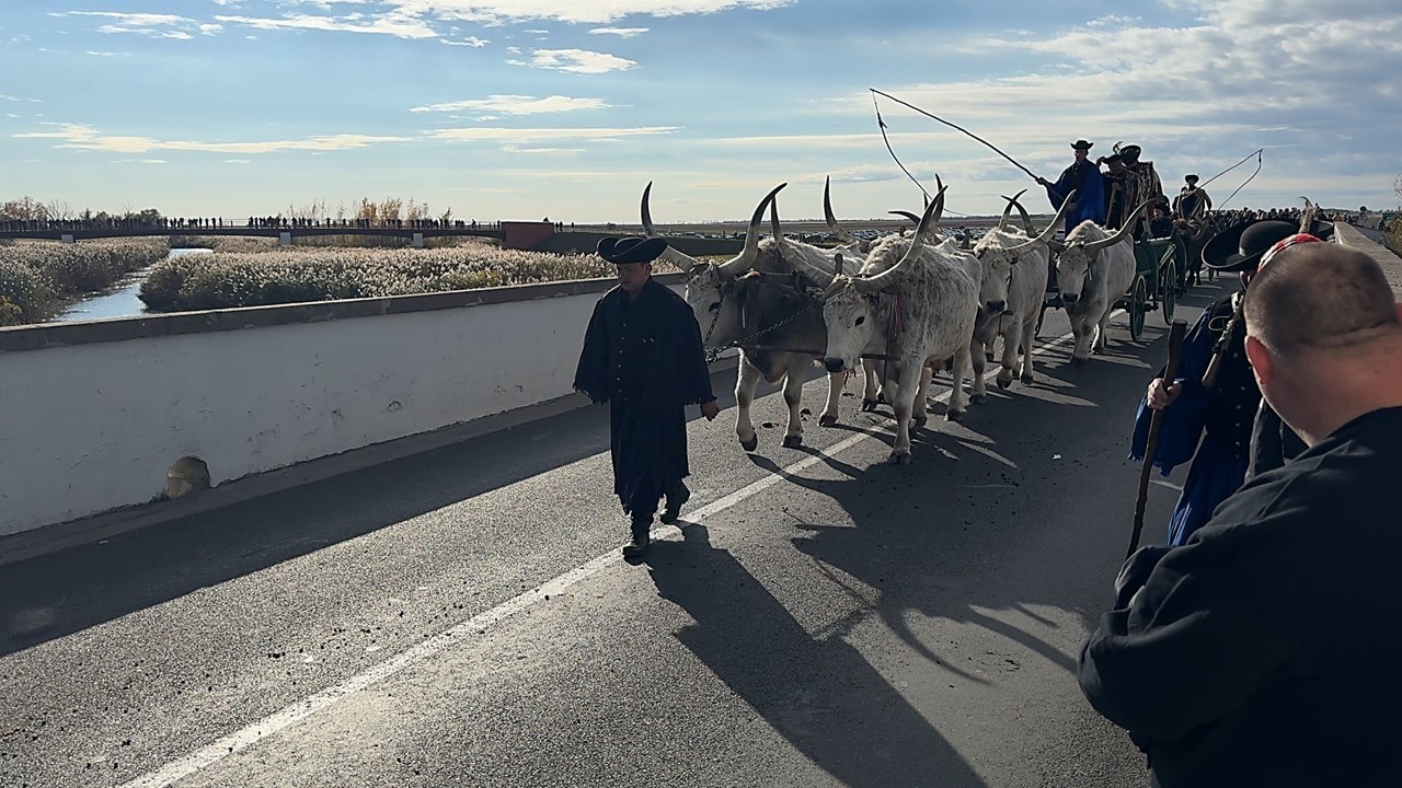 Праздник урожая и ярмарка ремесел в честь Дня Святой Девы Марии 2025