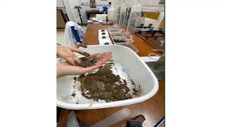 Group 2. Determination of soil texture using feel method