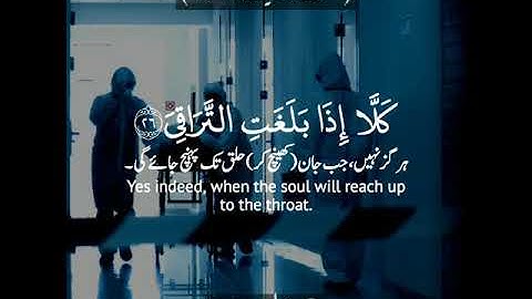 📌كلا إذا بلغت التراقي📌 سورة القيامة: ٢٦-٣٤|سليم باهنان ✨Al Qiyamah:26-34|Salim Bahanan