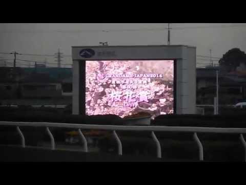第60回桜花賞　ファンファーレ　平成26年３月27日