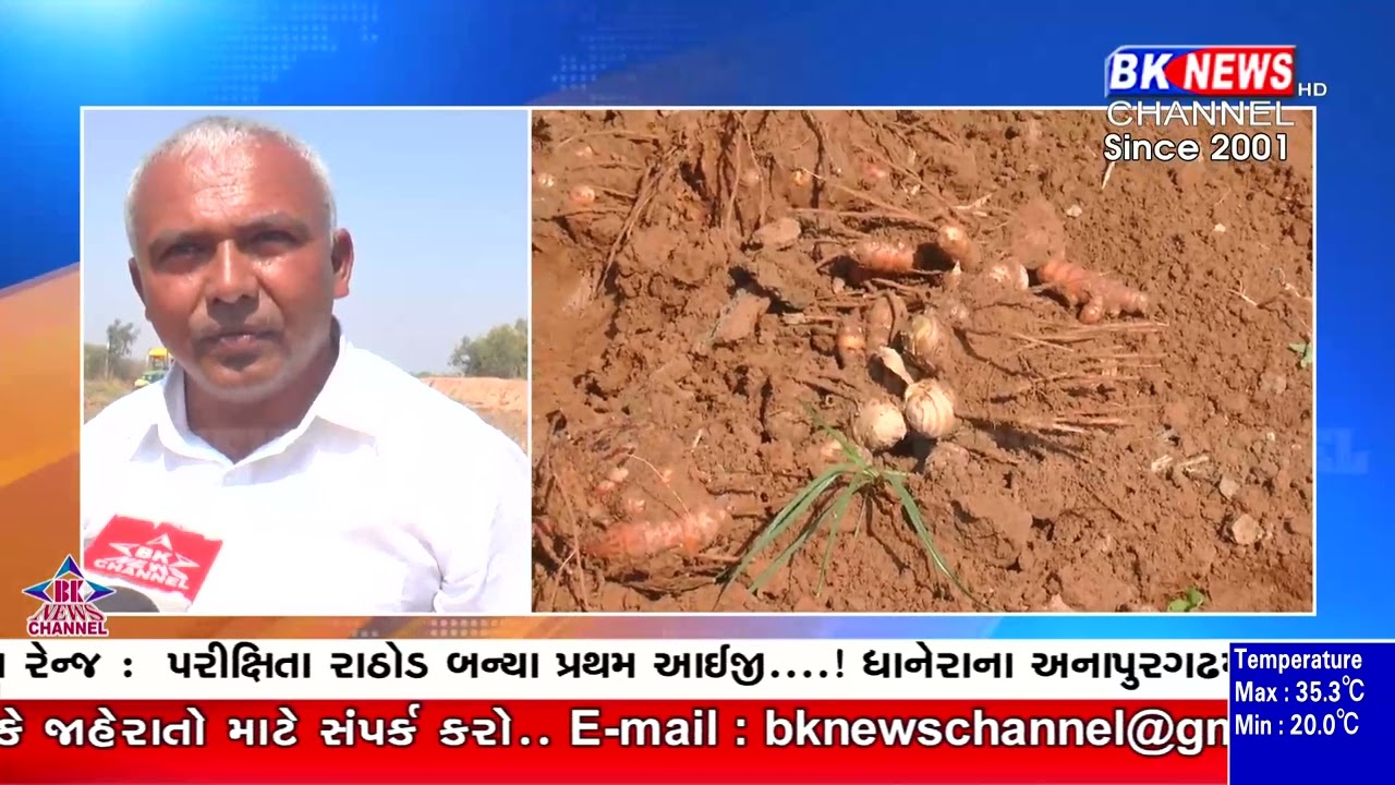ધાનેરા વિસ્તારના અનાપુર ગઢ ગામના પ્રગતિશીલ ખેડૂતોએ હળદરની ખેતીમાં મેળવી સફળતા..!