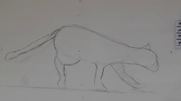 Cat Running Jump Animation: - Completed