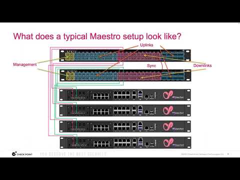 Comment Contacter le Support Stake Maestro
