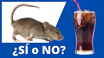 ¿Mata la Coca Cola a las ratas?