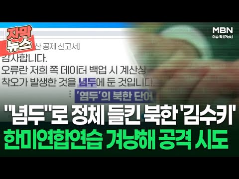 [자막뉴스] ＂념두＂로 정체 들킨 북한 &amp;#39;<strong>김수키</strong>&amp;#39; 한미연합연습 겨냥해 공격 시도 | 이슈픽