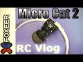 Foxeer Micro Cat 2. Почти как зрение кошки.