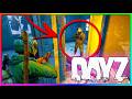 What is DAYZ like in 2026?