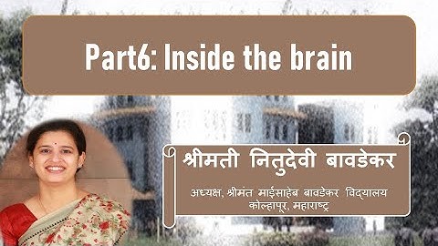 Session 2.1 How children learn? Part6. Inside the brain [MS Talk Series on ECE]