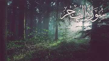Surah Al-fajr | أجمل تلاوة ستسمعها لسورة الفجر بصوت القارئ محمد كمال هاشم