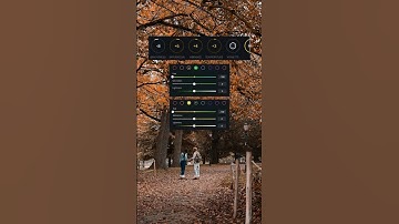 Autumn color grading vn tutorial #youtubeshorts #colorgrading