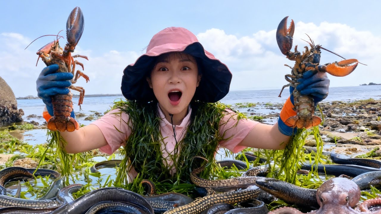 Xiao Zhang, While Beachcombing, Discovered A Swarm Of Lobsters And Even A Giant Eel.
