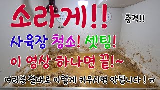 소라게 절대 이렇게 키우시면 안됩니다!!