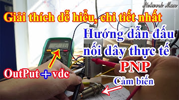 Phần 3   Hướng dẫn đấu dây cảm biến điện từ kiểu PNP với tiếp điểm NO (Normaly Open) | Network Man