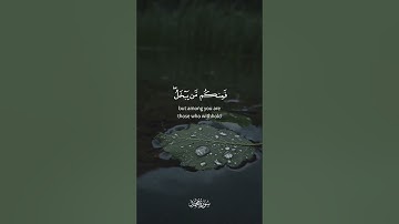 إنما الحياة الدنيا لعب ولهو وإن تؤمنوا وتتقوا يؤتكم أجوركم  [ محمد: 36 - 38 ] القارئ هيثم الدخين