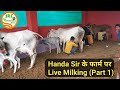 👍For Sale: Price 30000-45000👍Desi Cows of #Handa Sir Farm -Milking Video.👍(8708970090).👍
