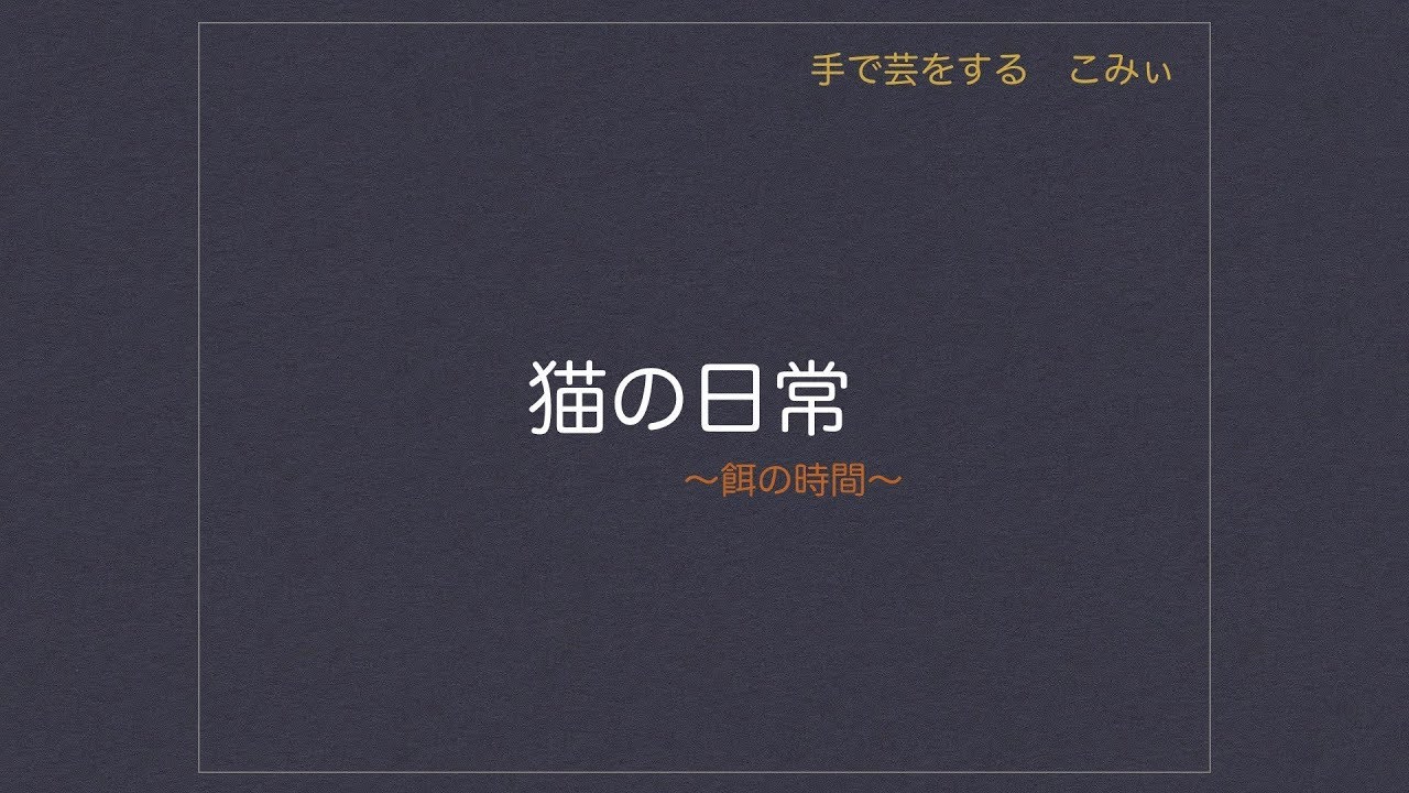 餌の時間 猫の日常 Youtube 餌の時間 猫の日常 Youtube