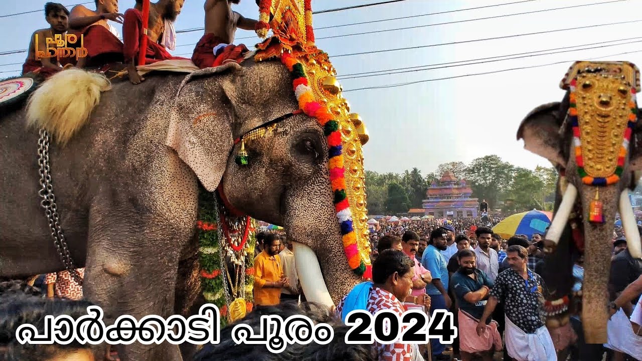 Parkkadi Pooram 2024 | പാർക്കാടി പൂരം 2024 🔥🔥🔥| Thechikottukkavu Ramachandran | Puthupally Kesavan