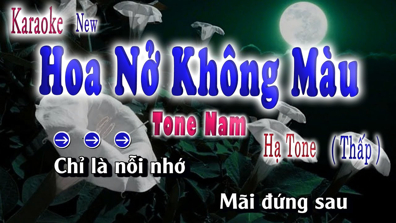Hoa Nở Không Màu Karaoke Tone Nam Beat Chuẩn | song nhien karaoke