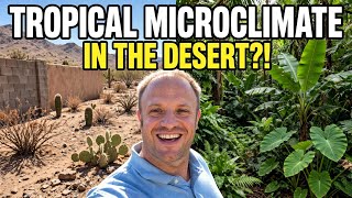 How to Build a Tropical Microclimate in Arizona