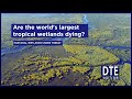 Is climate change killing Pantanal, the world's largest tropical wetlands?