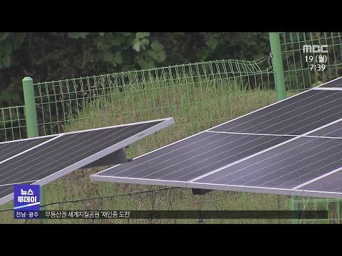 부모 <strong>묘지</strong> 옆 난데없는 태양광...허가도 &amp;#39;엉망진창&amp;#39;[목포MBC 뉴스데스크]