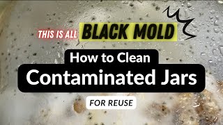 How to Clean and Reuse Contaminated Jars (Mycology)