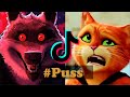 Puss in boots edits  tik tok compilation