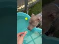 Raveena 255268 enjoying some time by the pool!