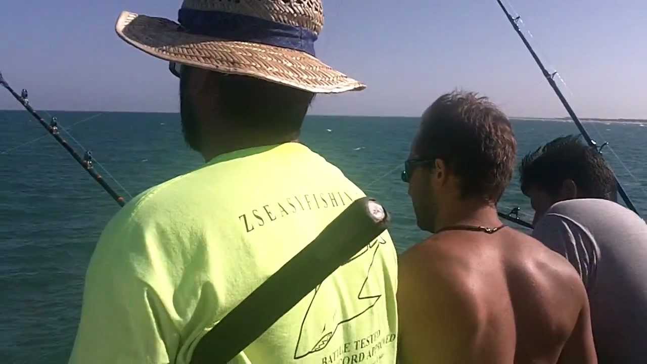 Monster Tiger Shark Bob Hall Pier
