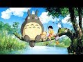 1 hour relaxing studio ghibli music for studying and sleeping bgm