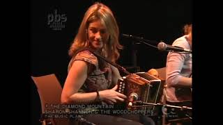 SHARON SHANNON & THE WOODCHOPPERS : The Diamond Mountain